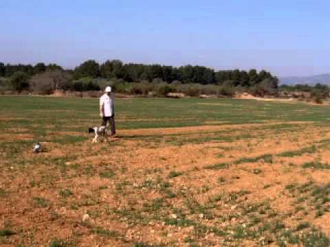 Addestramento alla ferma