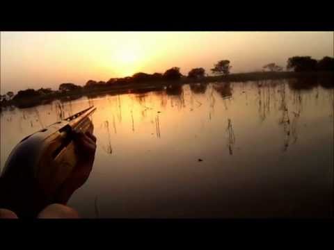 Caccia agli Acquatici