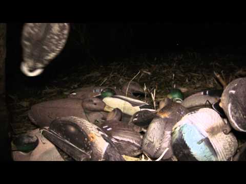 Fowled Reality EP2 – Opening Day of Duck Hunting