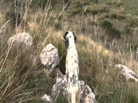 Allenamento sulla Coturnice