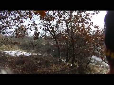 Caccia alla Beccaccia