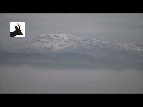 Caccia al Cervo in Scozia