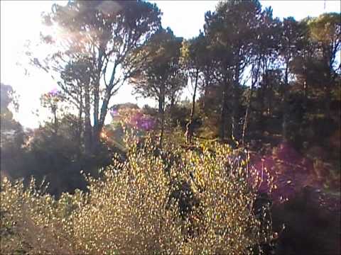 Caccia alla Lepre – Seconda Parte