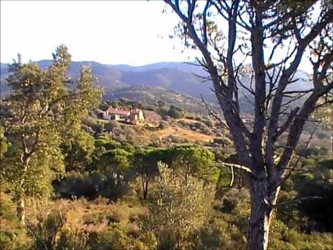 Caccia alla Lepre – Terza Parte