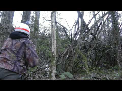 Caccia alla Beccaccia