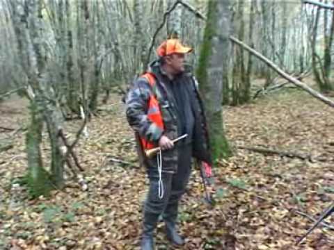 Caccia al Cinghiale ma non solo