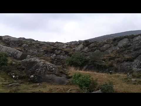 Caccia alla Beccaccia