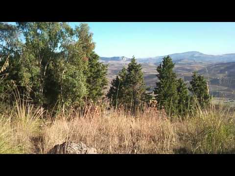 Caccia al Colombaccio