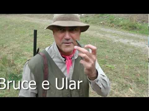 Caccia alla Beccaccia con 36 Magnum