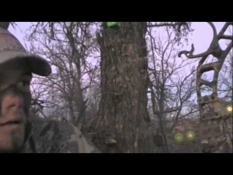 Caccia al Cervo con l\’arco