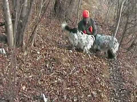 Caccia alla Beccaccia