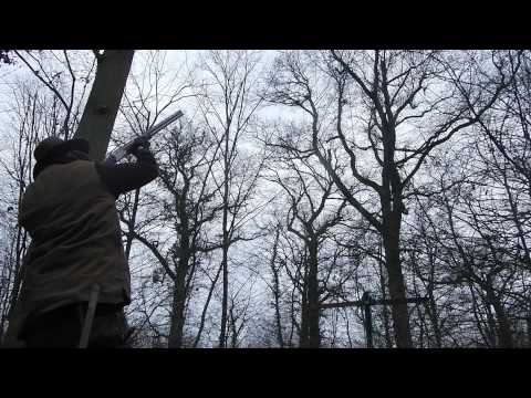 A caccia di Colombacci e Tortore