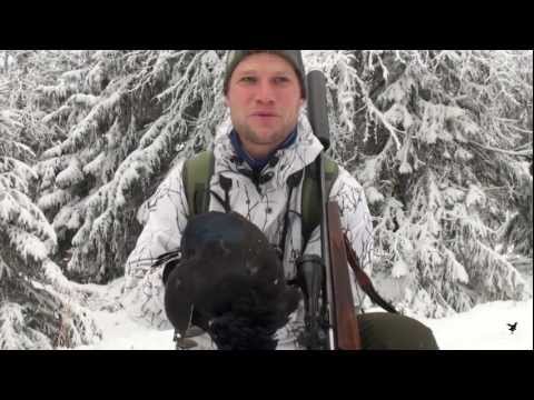 Caccia al Gallo Forcello