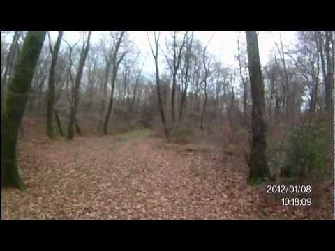 A caccia di Beccacce