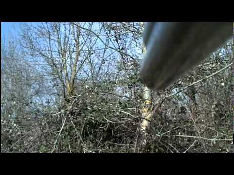 Caccia alla Beccaccia