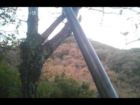 Caccia alla Beccaccia