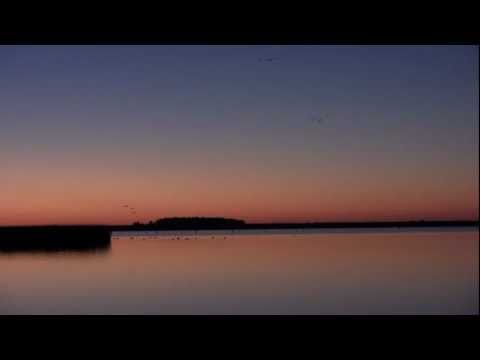 Caccia agli Acquatici