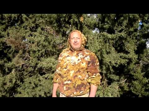 Gli auguri di Gelso Rosso