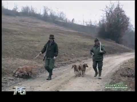 Calendario Venatorio Emilia Romagna