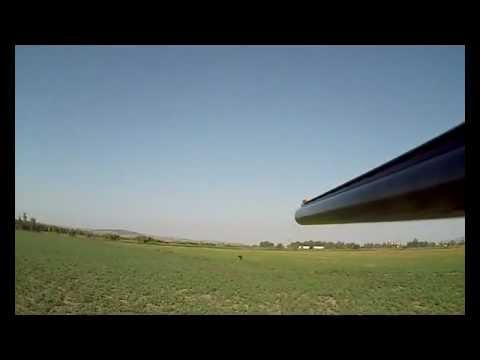 Caccia alla Pernice sarda