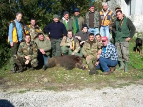 Caccia al Cinghiale