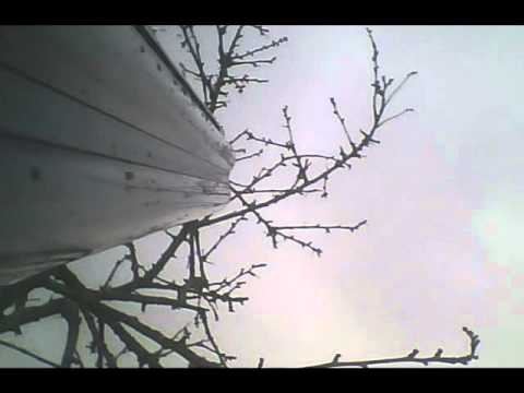 Colombacci e Pavoncelle