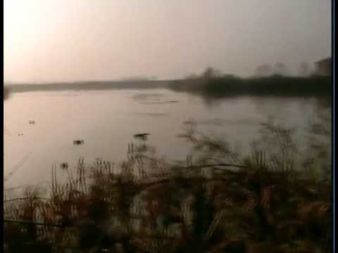 Caccia agli acquatici in valle – terza parte