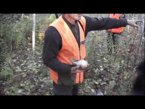 A Beccacce e Pernici