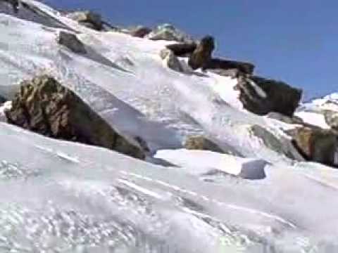 Caccia a Pernici e Lepri Bianche – Prima Parte