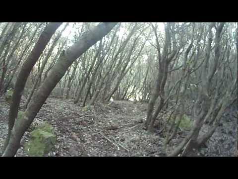 Caccia al Cinghiale a Cuglieri – Seconda Parte