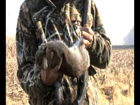 Caccia al Colombaccio