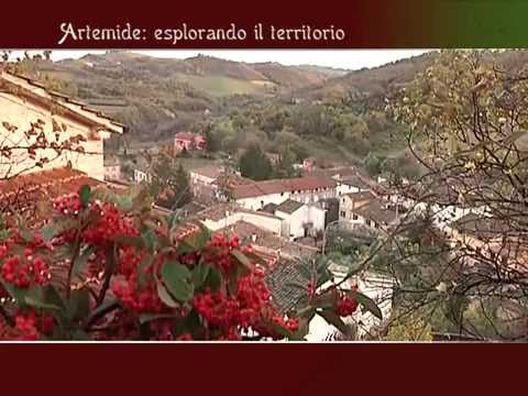 Caccia alla Beccaccia