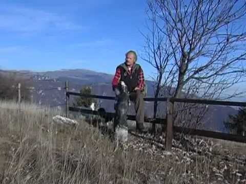 Beccacce dell\’Altopiano