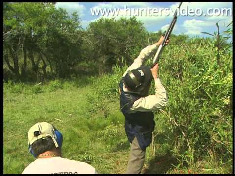 Caccia al Colombaccio