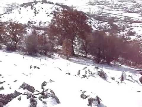 Caccia alla Coturnice