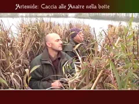 Caccia alle Anatre