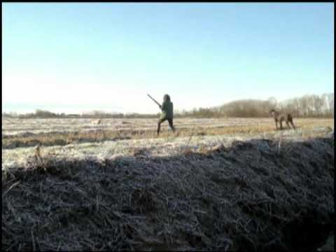 A caccia con il calibro 410