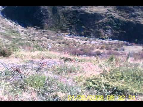 Caccia alla Coturnici