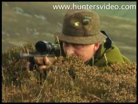 Caccia, uccelli e ungulati