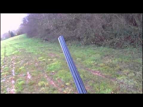 Caccia alla Beccaccia