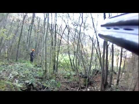 Caccia alla Beccaccia