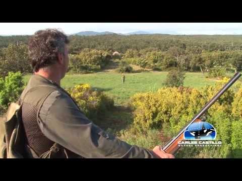 Caccia al Coniglio Selvatico