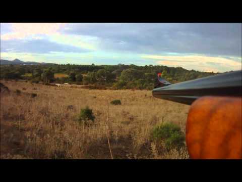 Caccia al Cinghiale in Corsica