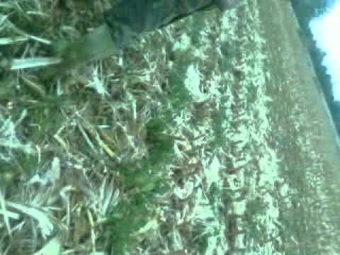 Caccia alla Lepre….inaspettata!!