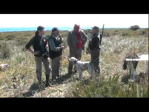 Prove di caccia pratica in Sicilia 3