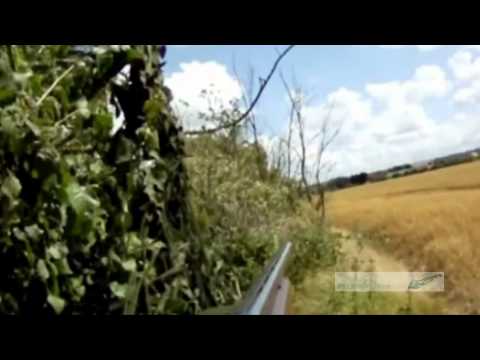 Caccia al Colombaccio