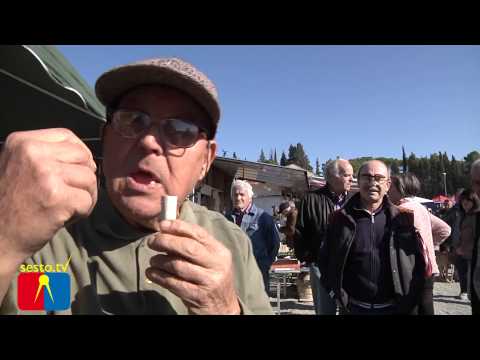 Pietro Magni detto Tonsino produttore di fischi e richiami