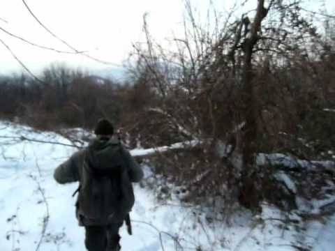 Caccia di Selezione al Capriolo