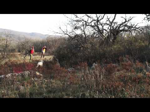 Caccia alla Beccaccia