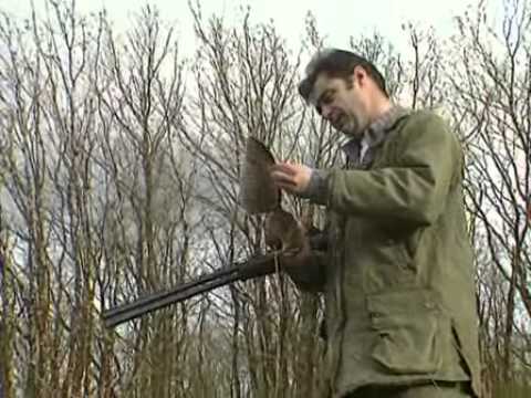 Caccia alla Beccaccia